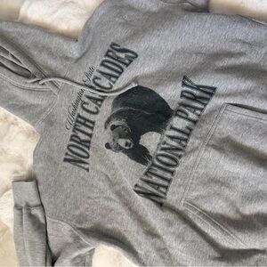 Gray North Cascades National Park Hoodie